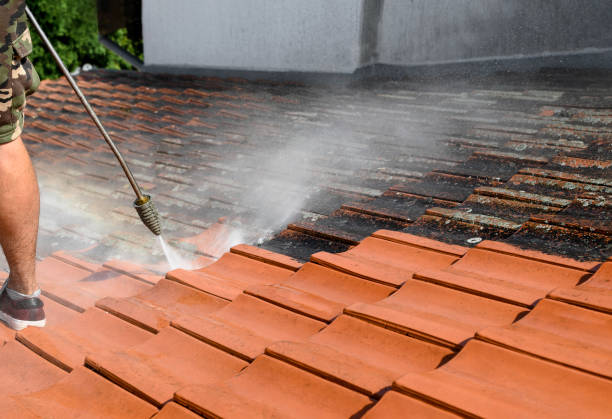 Best Residential Pressure Washing Services  in Brownsville, TN