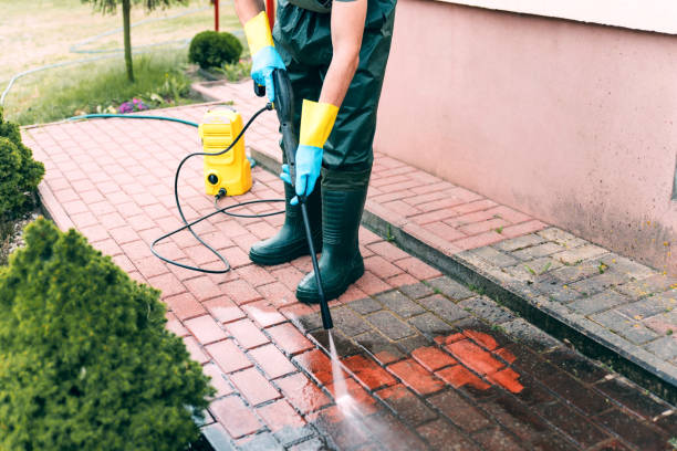 Best Exterior Home Cleaning  in Brownsville, TN