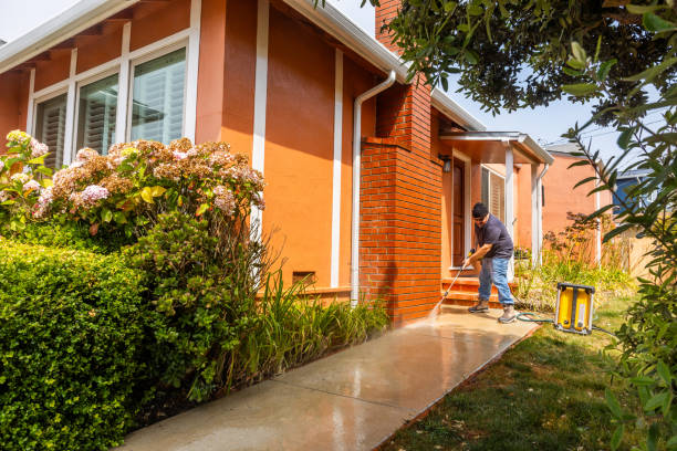 Best Deck Pressure Washing  in Brownsville, TN