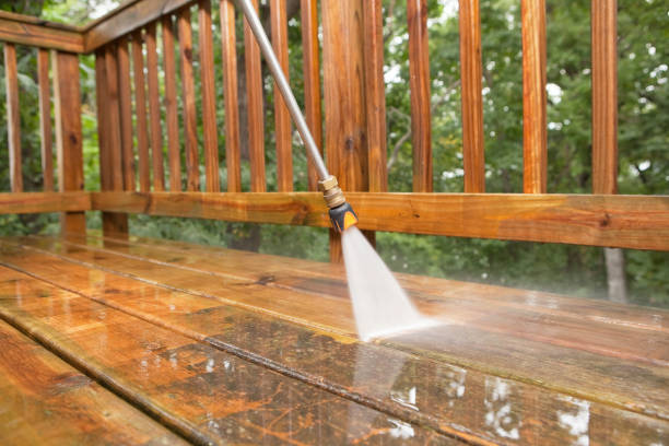 Best Fence Pressure Washing  in Brownsville, TN